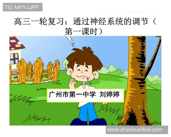 排球新手必看：全面解析状态提升与技巧掌握的入门指南