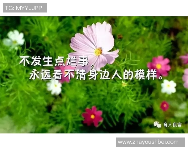 李丽的极限运动人生探索与挑战背后的深度对话与感悟